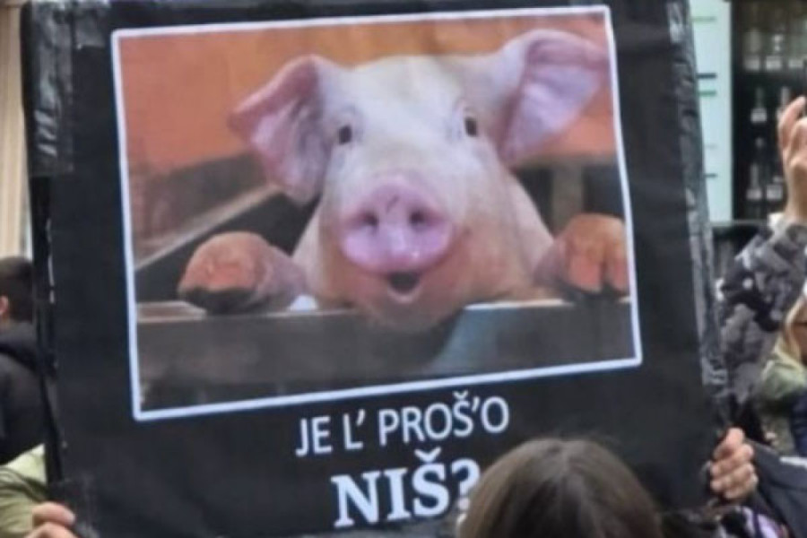 Vašarska atmosfera na "protestu" u Nišu: Kotlići, roštilj i alkohol na svakom ćošku (FOTO/VIDEO)