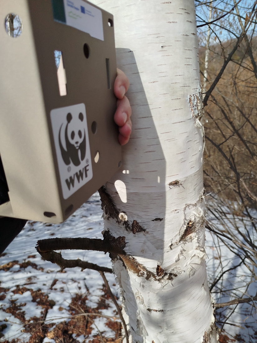 Šok otkriće na Staroj planini: Nađeni tragovi, zveri se približavaju naseljima! (FOTO)
