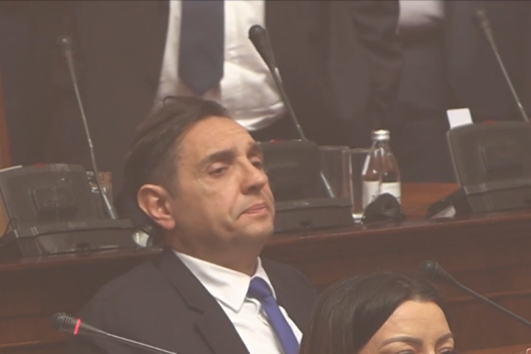 Vulin počistio pronatovsku opoziciju u Skupštini Srbije: Da među vama ima muškaraca znali biste šta se i kako radi sa jajima