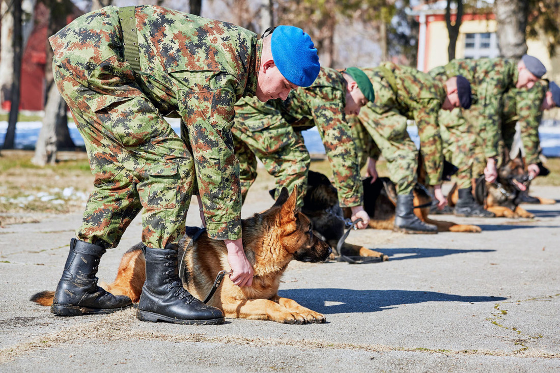 Predivni i neustrašivi: Kako vojska trenira svoje elitne pse za specijalne zadatke (FOTO)
