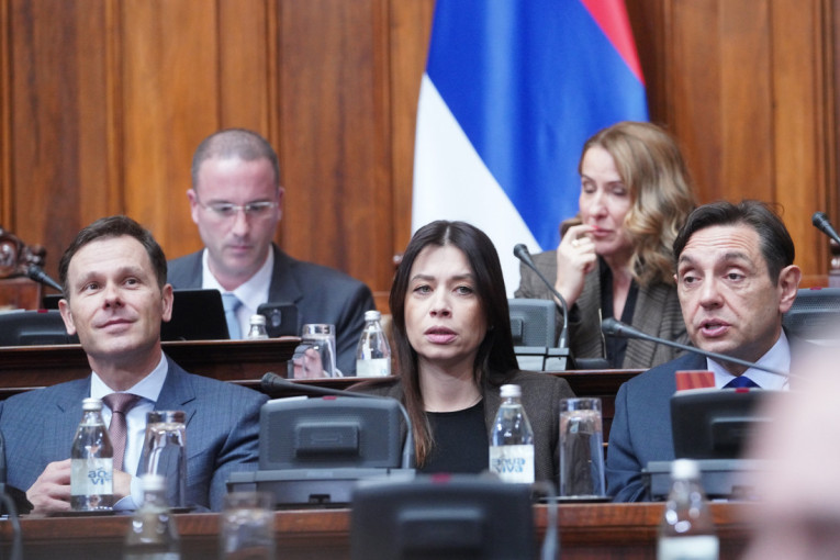 Skupština završila rad, sutra se nastavlja rasprava o amandmanima - Brnabić: Institucije Republike se neće povlačiti pred nasiljem (VIDEO)