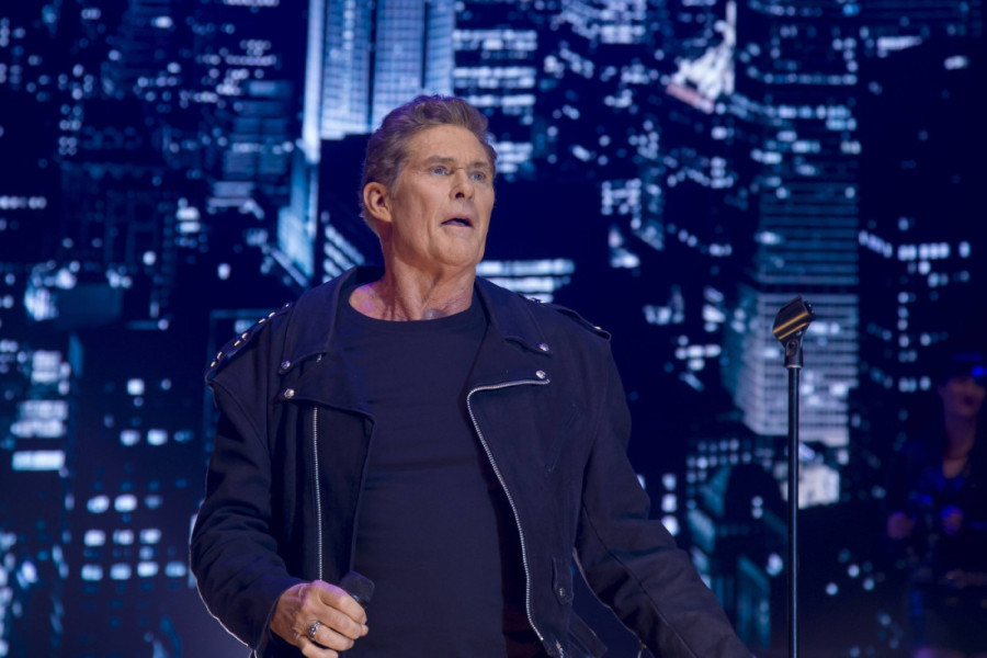 Zabrinutost za Haselhofa: "Čuvar plaže" viđen u invalidskim kolicima