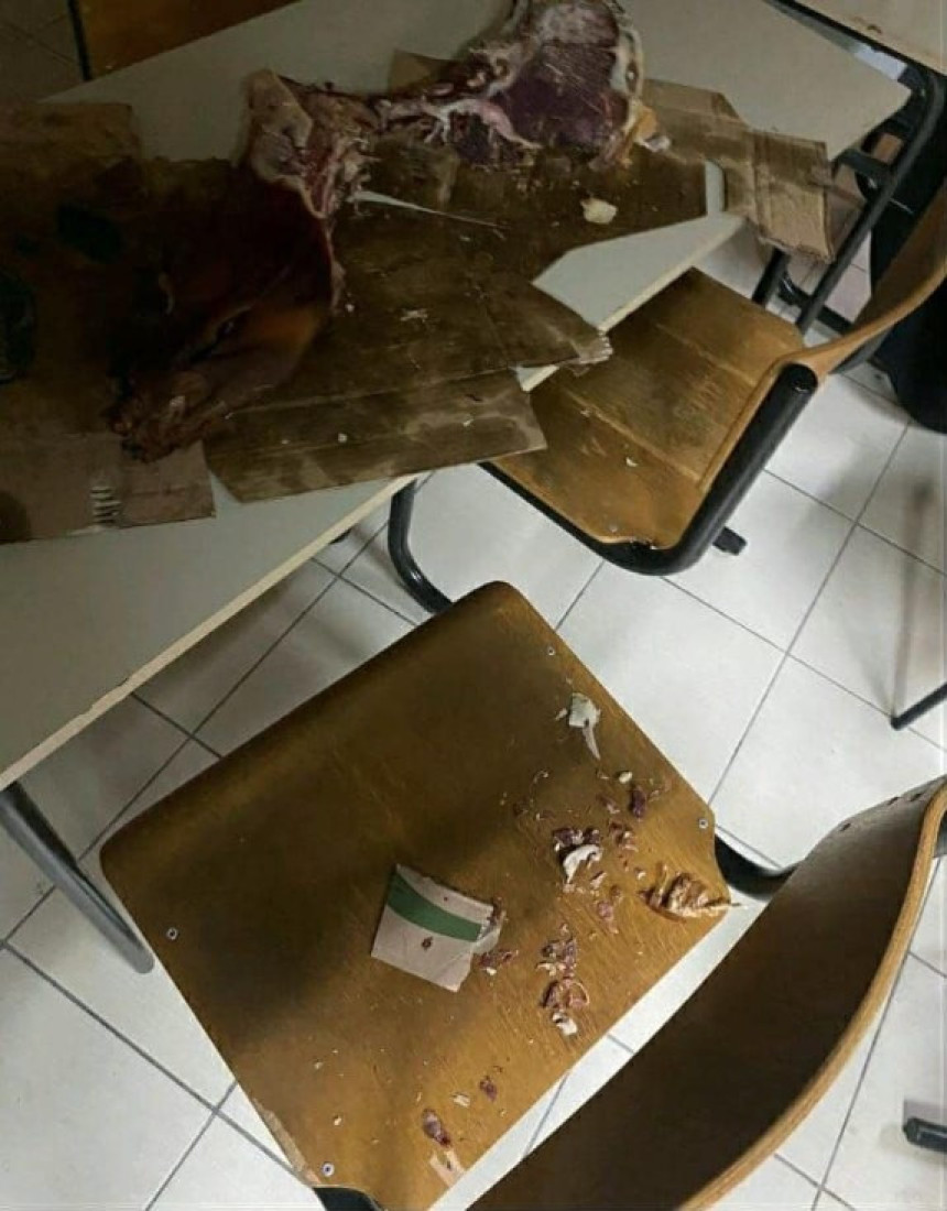 Užas! Zaraza na Pravnom fakultetu u najavi! Smeće, ostaci od hrane i prljavština! Zar je ovo srpska budućnost?