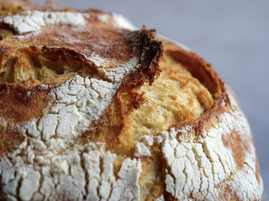 Puratos – vaš saveznik u kreiranju ukusnih priča