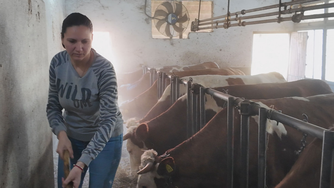 Jelica je naša heroina: Njoj ništa nije teško, na plećima nosi celo domaćinstvo