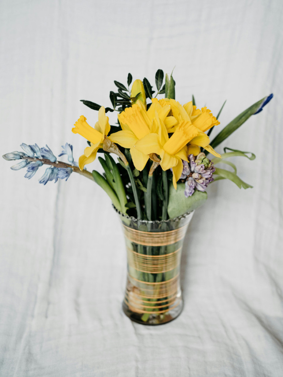 Trik koji morate da znate pre nego što stavite narcise u vazu - u suprotnom, mogu uništiti ostalo cveće u buketu