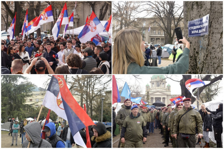 Studenti koji hoće da uče šestu noć zaredom proveli u Pionirskom parku: Provocirali su nas opet, bacali su topovski udar i flaše pune vode!