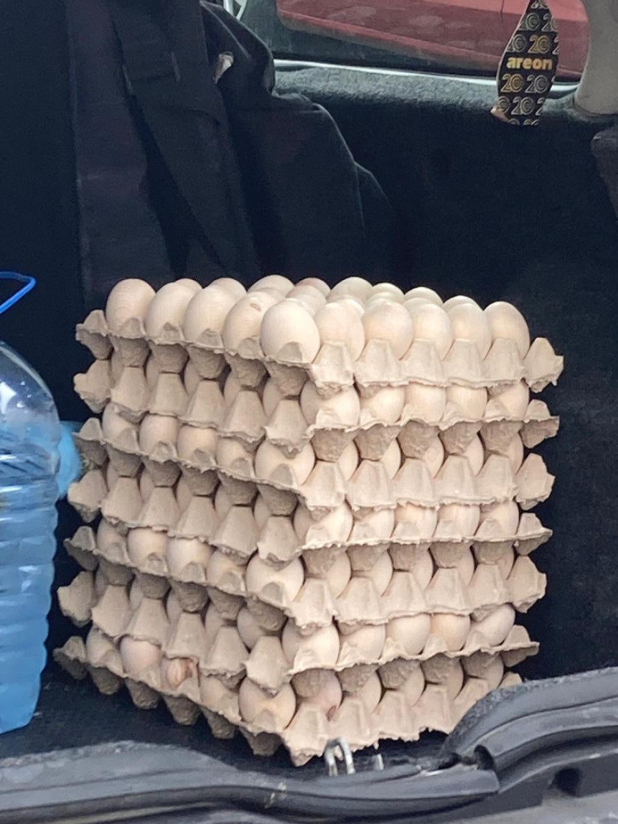 Studenti blokaderi spremili drvena jaja za napad na studente koji hoće da uče! (FOTO)