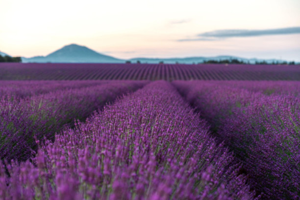 Od 65 do 2.000 evra: Ovo su najtraženije destinacije za praznike