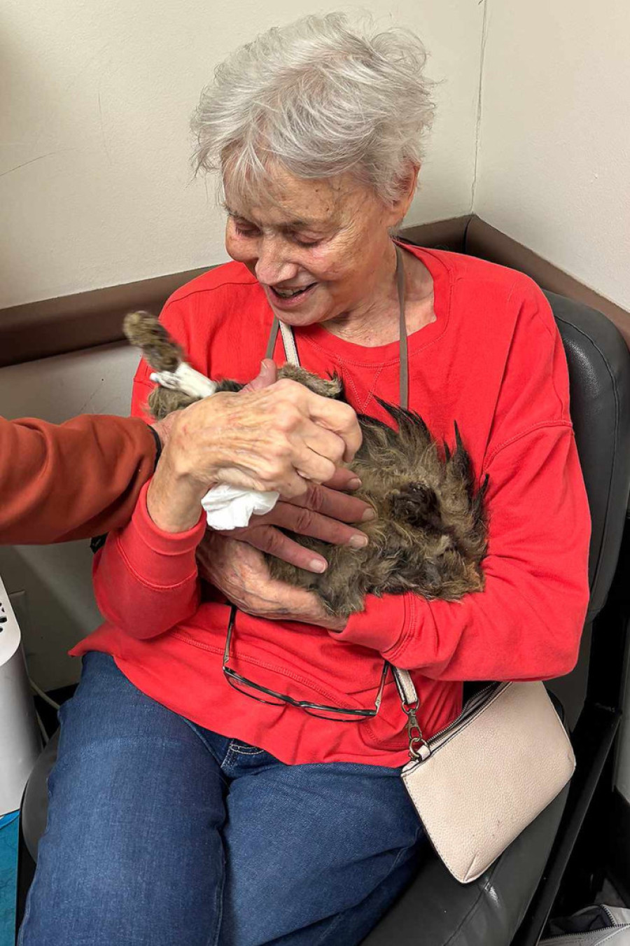 Nikad ne potcenjujte mačke: Agi je nestala pre dva meseca u požarima u LA, a sada je vraćena vlasnici