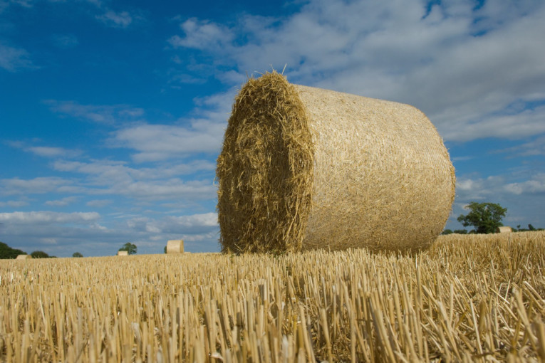 Stabilizuje se tržište peleta, cene niže: Predložene dve mere za krizne situacije