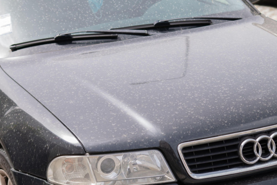 Kada kiša donese saharski pesak pravo na vaš auto - ne posežite za suvom krpom, već uradite ovo