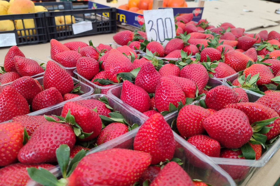 Šok na pijaci: Mladi krompir kao luksuz – kilogram i do 1.000 dinara na beogradskim pijacama (FOTO)