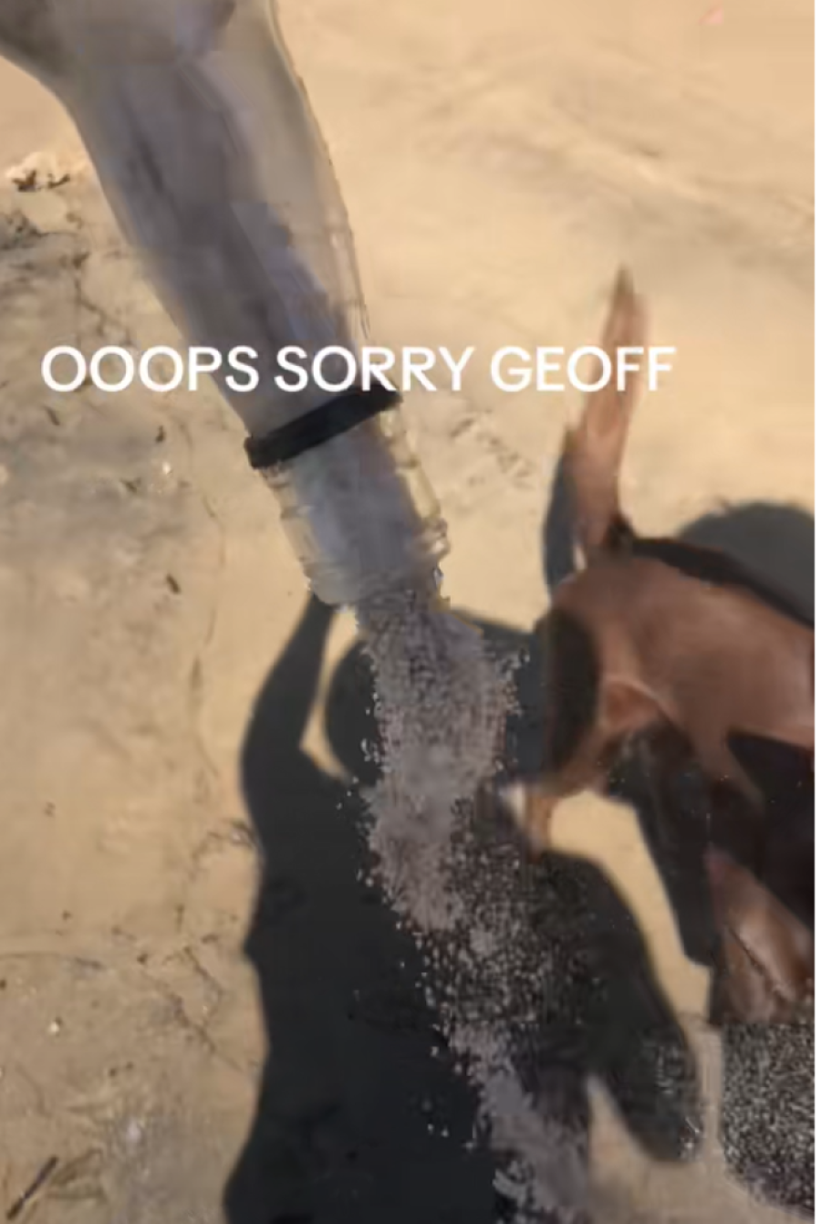 Bizarno: Bračni par je gorko zažalio što je otvorio bocu s porukom - unutra ipak nije bio pesak