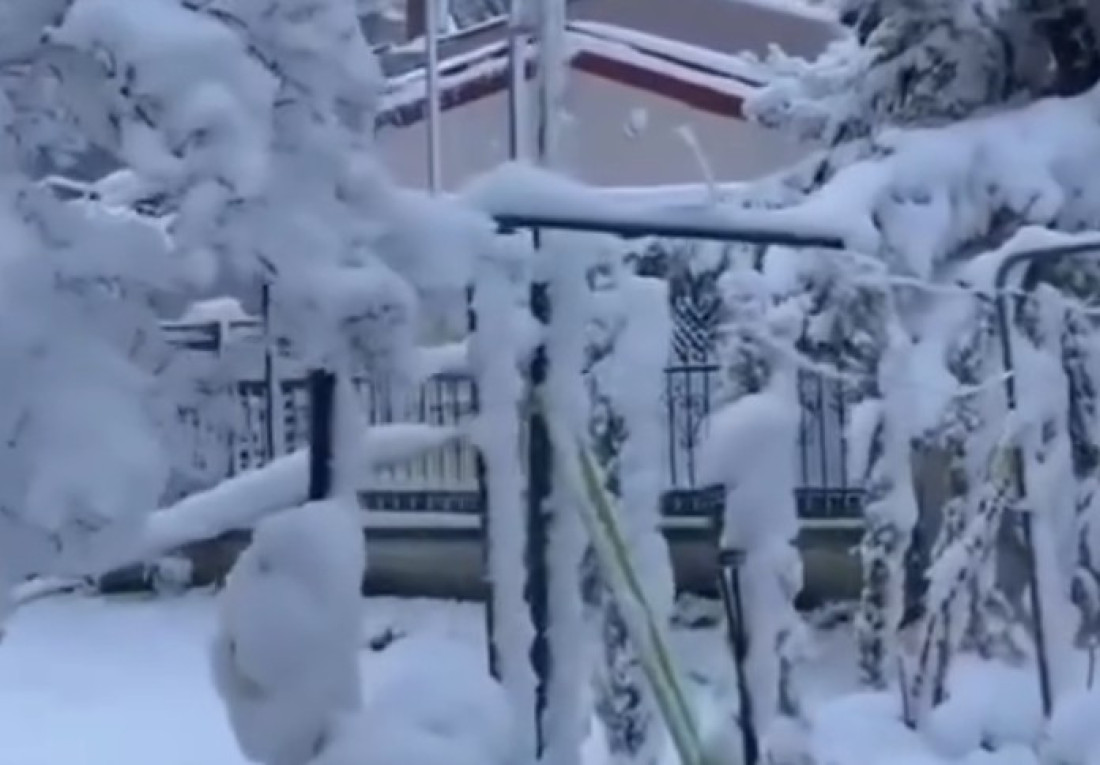 Trojica mladića pravila haos u Urgentnom centru, a onda nasrnuli na policiju nožem i flašom