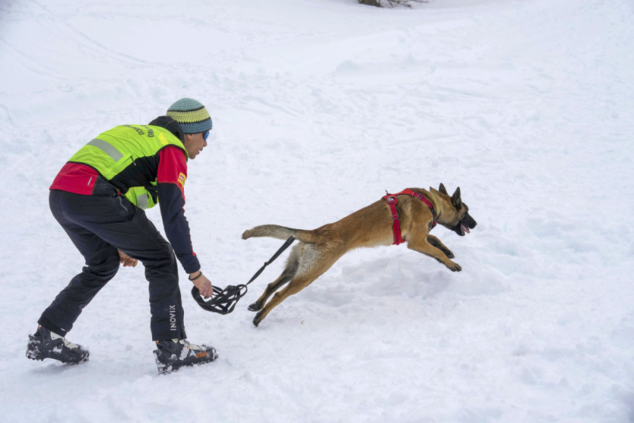 Kako izgleda kada pas spasava ljude iz lavine: Zen i Brina su neverovatno hrabri i sposobni spasioci koji nikada ne odustaju (FOTO)