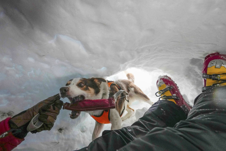 Kako izgleda kada pas spasava ljude iz lavine: Zen i Brina su neverovatno hrabri i sposobni spasioci koji nikada ne odustaju (FOTO)