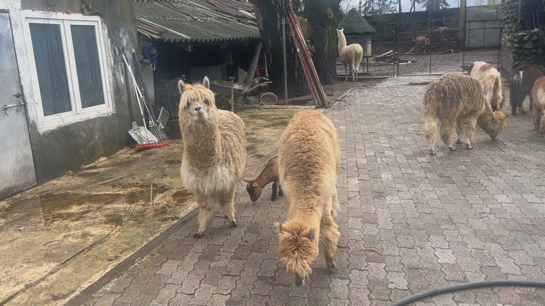 Neobične lame kojima je utočište ispod reke Lim sve više privlače turiste u Berane