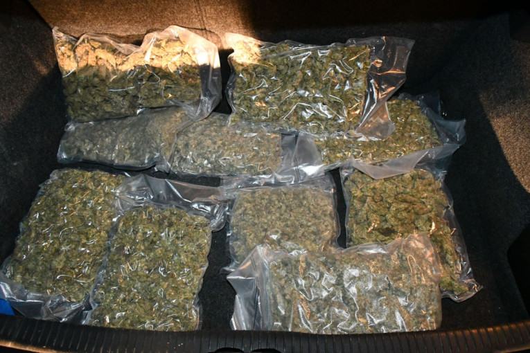 Četiri biljke, 12 godina: Drogu uzgajao u šumi, sušio kod kuće