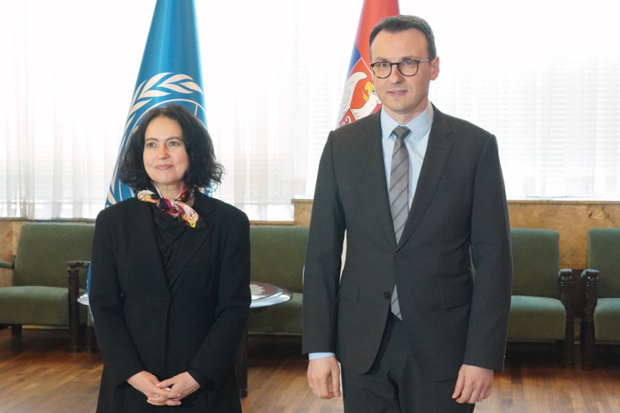 Petković sa Krois pred sednicu SB UN: Priština ugrožava opstanak i mir Srba na KiM