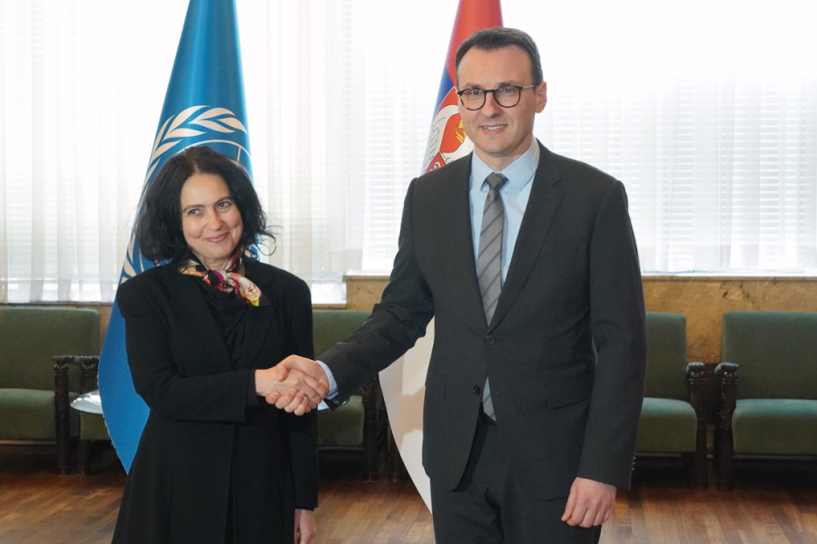 Petković sa Krois pred sednicu SB UN: Priština ugrožava opstanak i mir Srba na KiM