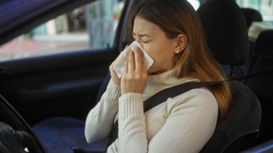 Posebno u proleće: Znamo da je hladovina, ali evo zašto nikada ne treba parkirati ispod drveta