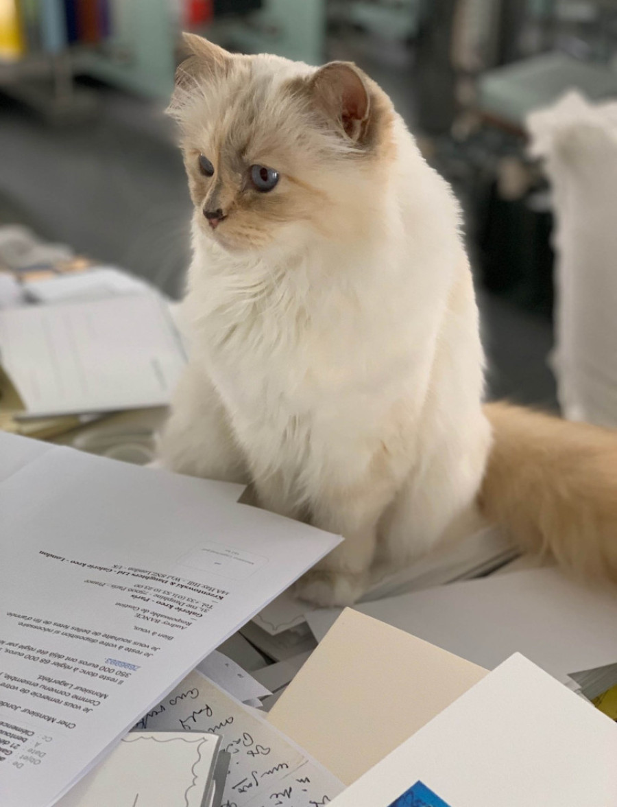 Borba za nasledstvo Karla Lagerfelda: Rođaci koje nije video godinama traže njegove milione!