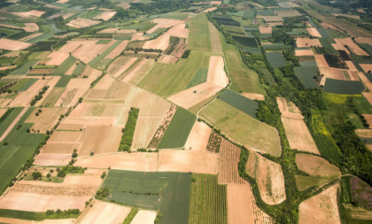 Poljoprivredno zemljište postalo suvo zlato: Jedan deo Vojvodine na vrhu liste po cenama