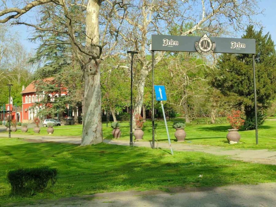 Oaze mira u srcu grada: Ovo su najlepši parkovi u Beogradu
