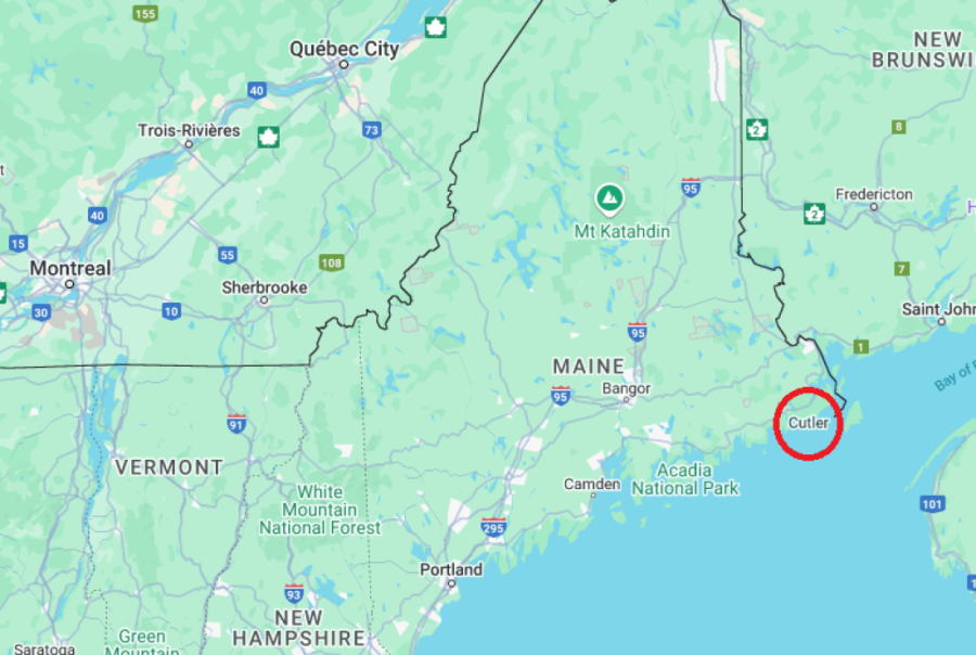 Šta Tramp zapravo želi od Kanade? Nekoliko stvari posebno mu je interesantno