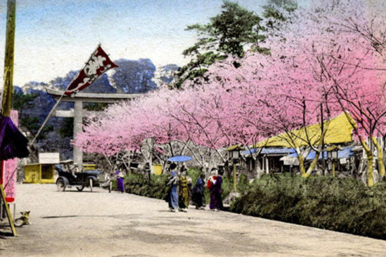 Nepristojni turisti su krivi za sve: Japan otkazao Festival trešnjinog cveta