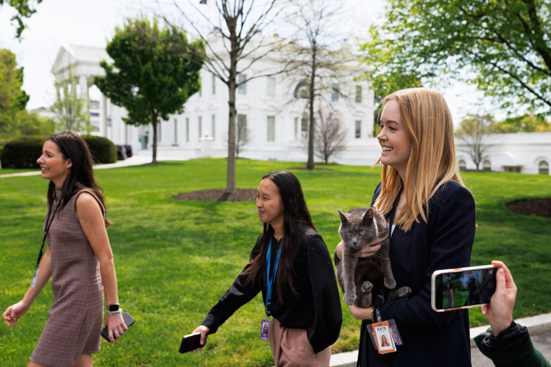 Ova mačka bi nešto da pita Trampa: Sofi pažljivo pratila konferenciju za novinare u Beloj kući (FOTO)