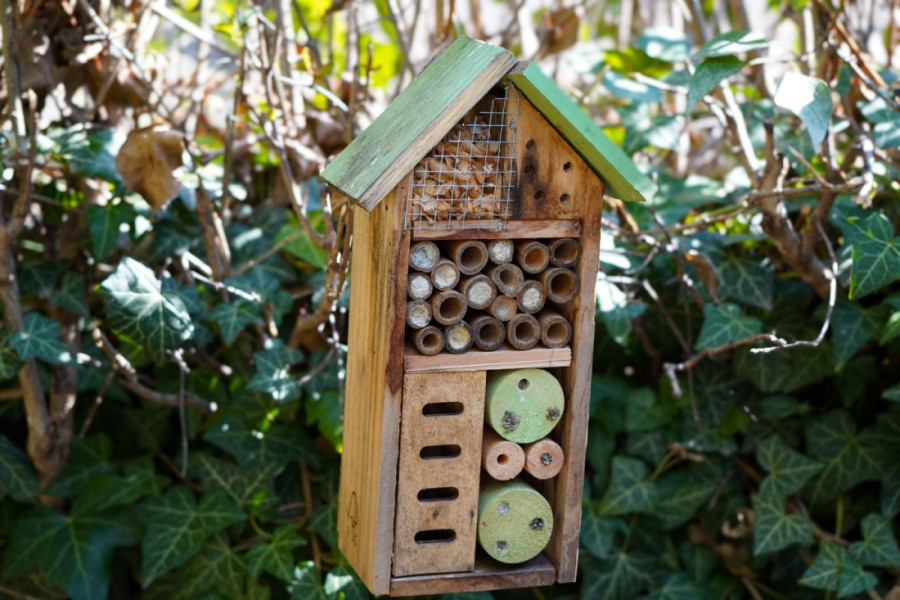 Privucite male saveznike u vaše dvorište ili terasu: Napravite hotel za pčele i gledajte kako bašta buja