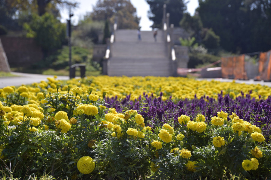 Meteorolog Todorović: Narednih dana natprosečno toplo vreme, očekuje se 28 stepeni