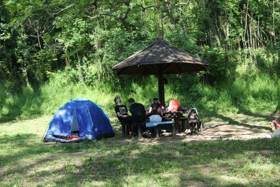 Biće mraza za Prvi maj: Hoće li nam kiša pokvariti planove?
