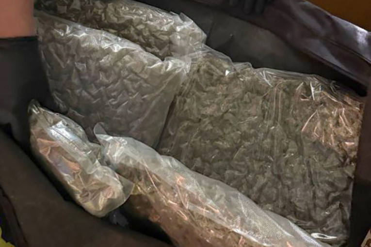 Zaplena u Nišu: Stan pun marihune i kokaina (FOTO)