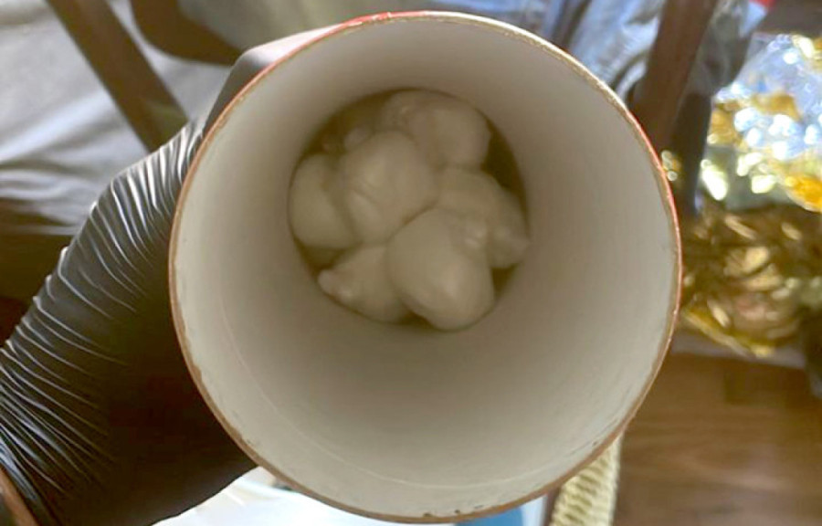 Zaplena u Nišu: Stan pun marihune i kokaina (FOTO)