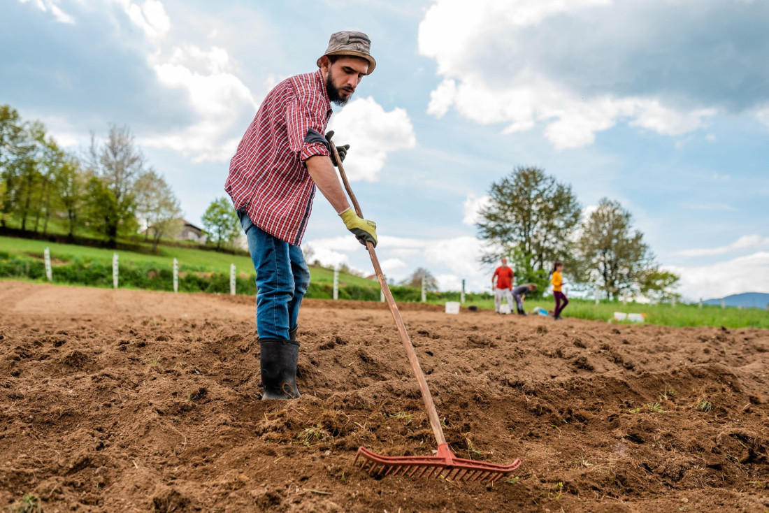 Sanjaju o životu na selu: Za četiri znaka Zodijaka su polja, vrtovi i njive bolji od gradske gužve