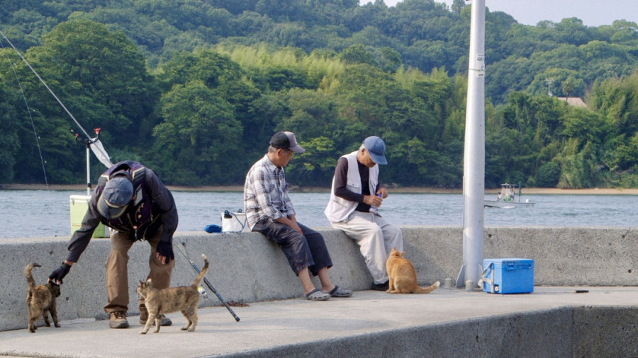 Filmovi o suživotu životinja i ljudi na Beldocsu: Među njima i priča o čuvenom Titovom papagaju (FOTO)