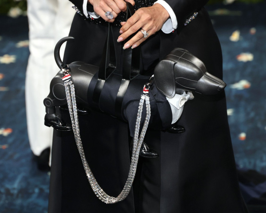 Upoznajte Hektora: Pas poznatog dizajnera važi za modnu ikonu i inspiracija je za luksuznu torbu sa Met Gale