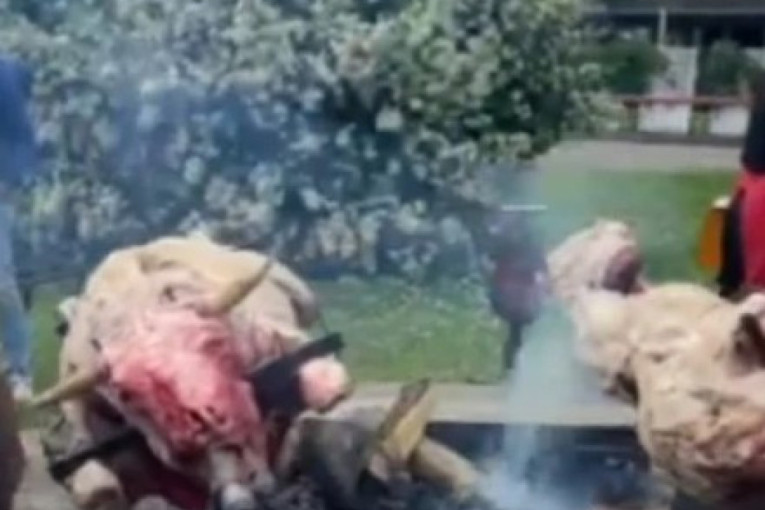 Vola nabili na kolac pa ga bacili na ražanj: Dok se Vučić bori za Srbiju u Moskvi, oni prave žurku