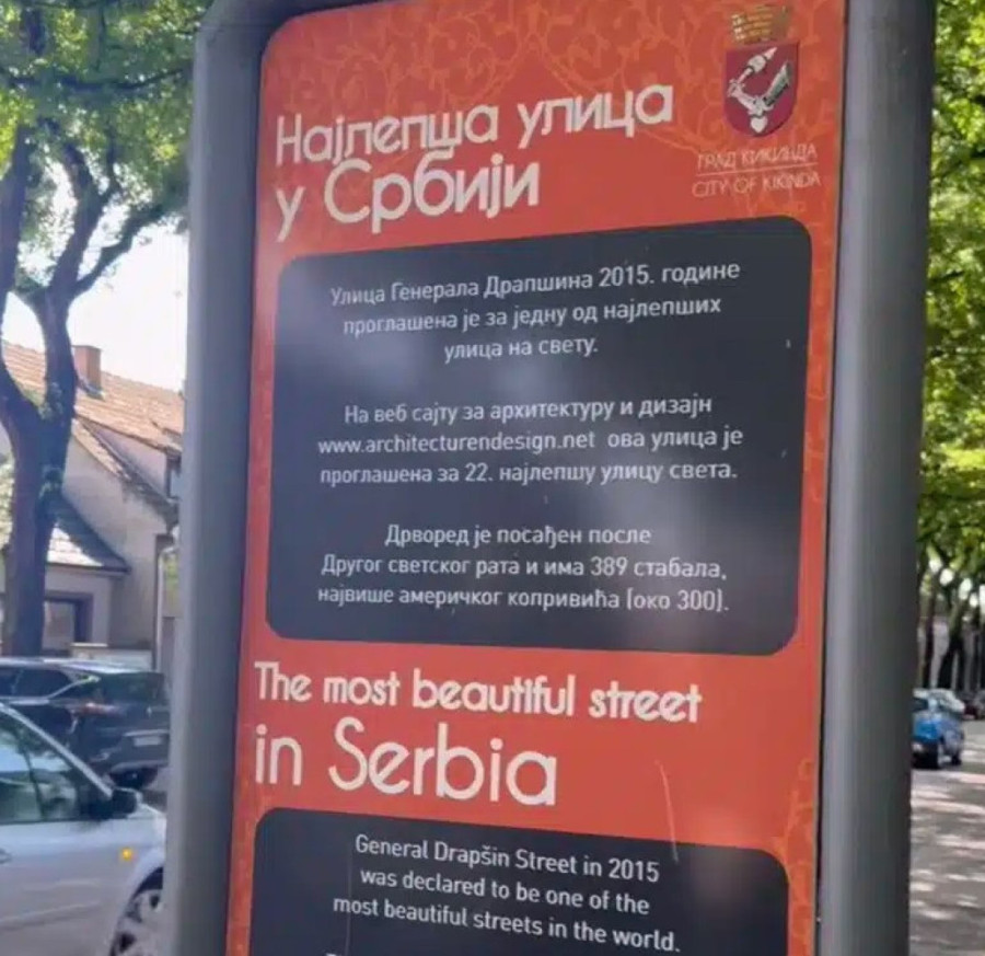 Najlepša ulica na svetu je u našoj Kikindi: Svako drvo ima svoj zdravstveni karton, prizor je neverovatan