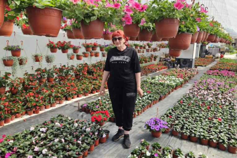 Počeli sa jednim plastenikom, a sada svi kupuju od njih: Tabaševići i Jusovići iz Prijepolja sve što proizvedu ode začas