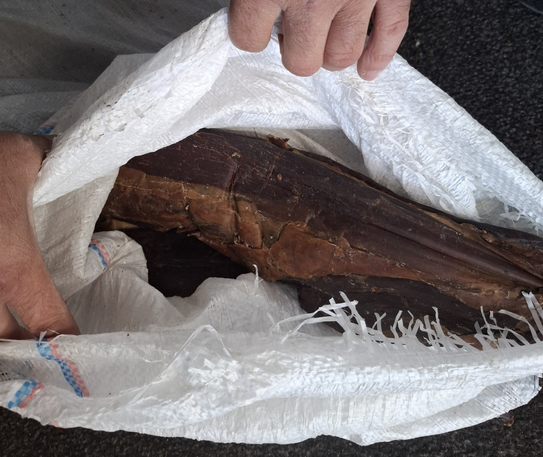 Ćevapi, pršut, sir: Neverovatna zaplena hrane (FOTO)