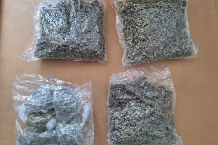 Udes na Ibarskoj magistrali! Žena leži nasred puta, ima više povređenih!