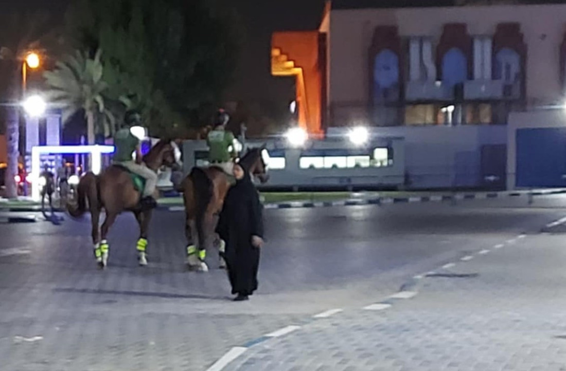 "Očekujem da Fico uskoro dođe u Srbiju"