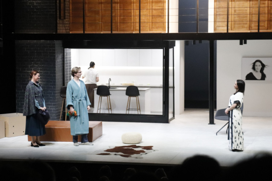 Ovacije na premijeri predstave "Heda Gabler": Novi hit Jugoslovenskog dramskog pozorišta (FOTO/VIDEO)