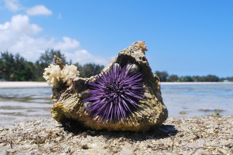 Zbog lova možete završiti i u zatvoru: Ako vas uhvate u ovoj državi kazne su drakonske