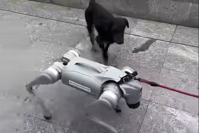 Neverovatna scena stiže iz Valjeva: Robot pas prošetao gradom, pogledajte reakcije prolaznika (VIDEO)