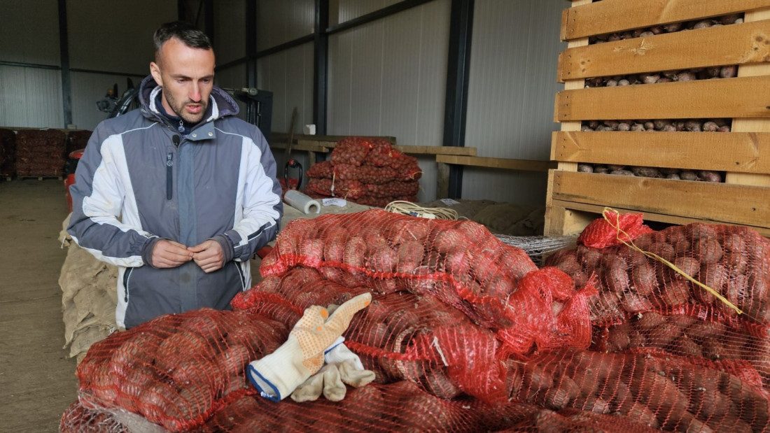 Krompir carstvo na vrhu Srbije: Gujaničići iz Akmačića godišnje uberu preko 900 tona sa planinskih njiva (FOTO)